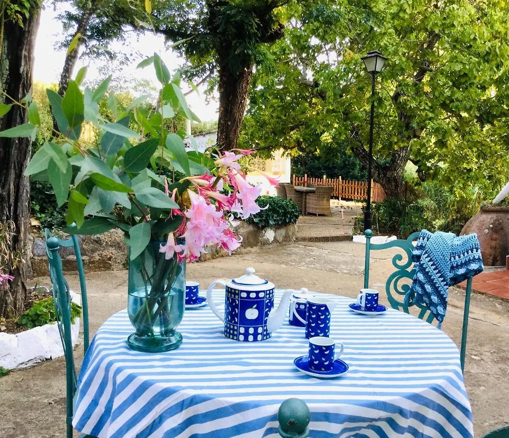 Villa Finca San Juan Alojamiento Boutique Constantina